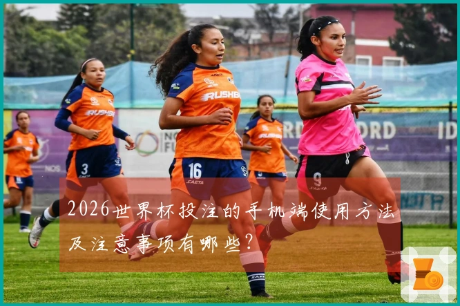 2026世界杯投注的手机端使用方法及注意事项有哪些？