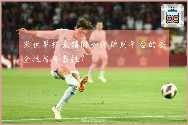 买世界杯竞猜时如何辨别平台的安全性与可靠性？