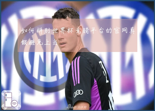 如何辨别世界杯竞猜平台的官网真假避免上当