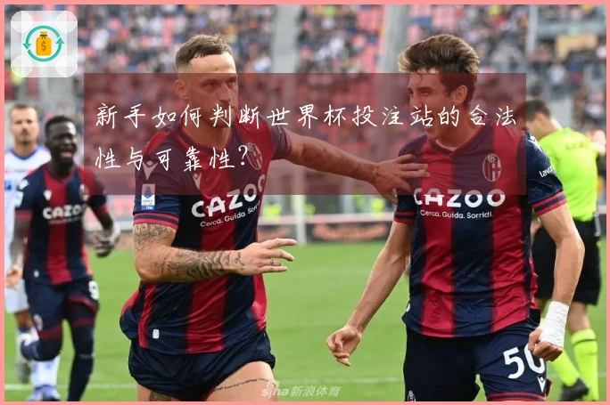 新手如何判断世界杯投注站的合法性与可靠性？