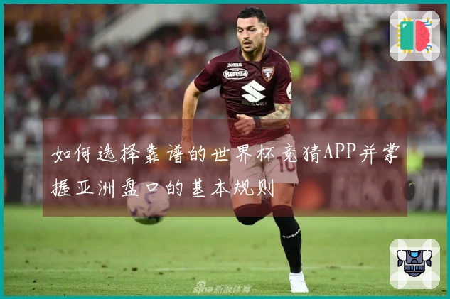 如何选择靠谱的世界杯竞猜APP并掌握亚洲盘口的基本规则