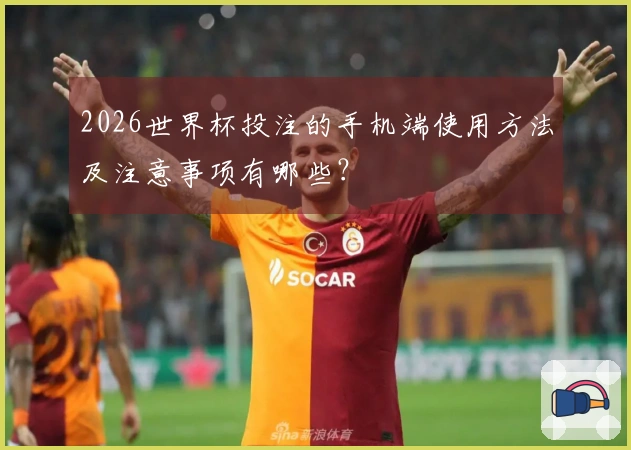 2026世界杯投注的手机端使用方法及注意事项有哪些？