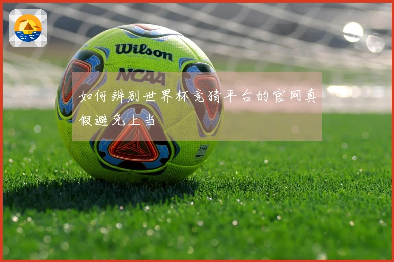 如何辨别世界杯竞猜平台的官网真假避免上当