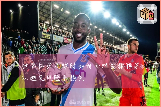 世界杯买足球时如何合理安排预算以避免风险和损失