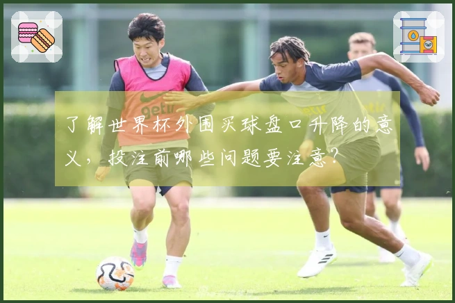 了解世界杯外围买球盘口升降的意义，投注前哪些问题要注意？