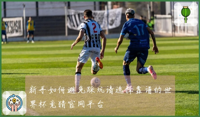 新手如何避免踩坑请选择靠谱的世界杯竞猜官网平台