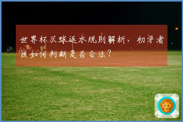 世界杯买球返水规则解析，初学者该如何判断是否合法？