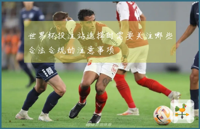 世界杯投注站选择时需要关注哪些合法合规的注意事项