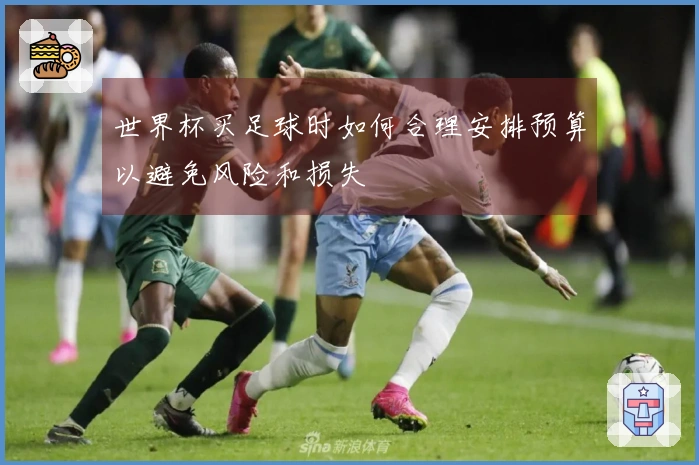 世界杯买足球时如何合理安排预算以避免风险和损失