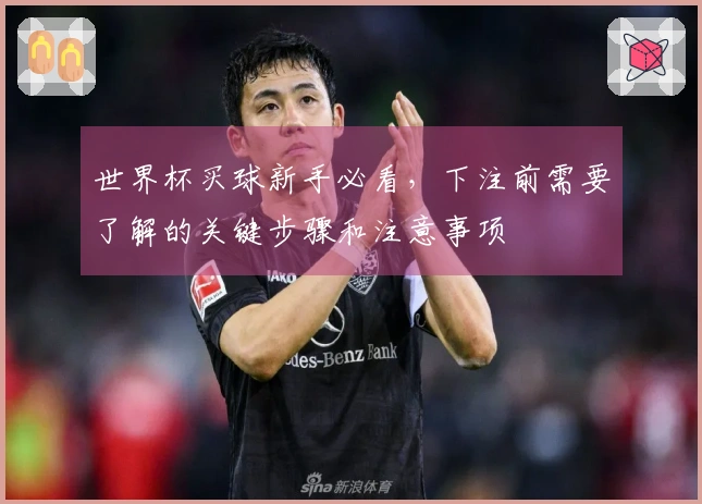 世界杯买球新手必看，下注前需要了解的关键步骤和注意事项