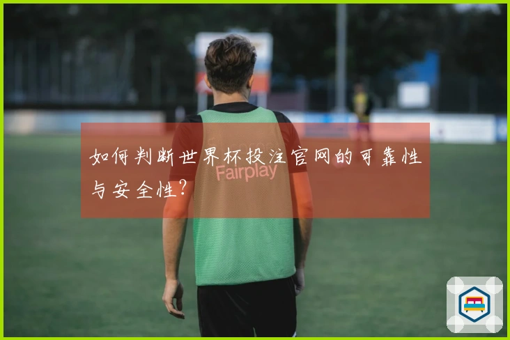 如何判断世界杯投注官网的可靠性与安全性？