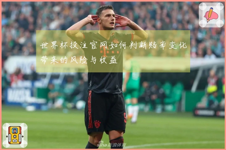 世界杯投注官网如何判断赔率变化带来的风险与收益