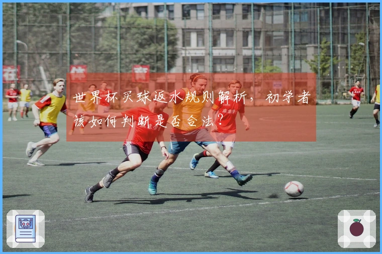 世界杯买球返水规则解析，初学者该如何判断是否合法？
