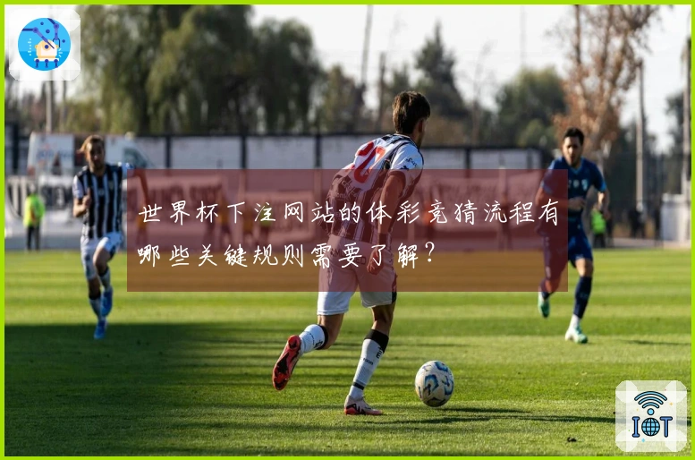 世界杯下注网站的体彩竞猜流程有哪些关键规则需要了解？