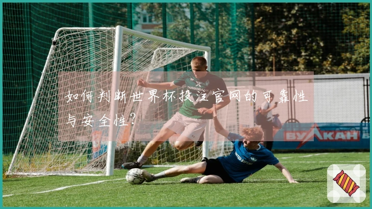 如何判断世界杯投注官网的可靠性与安全性？