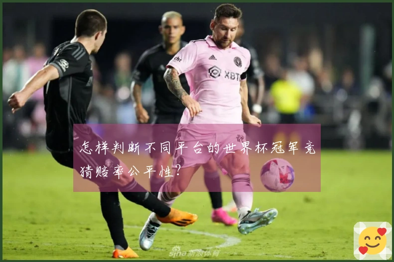 怎样判断不同平台的世界杯冠军竞猜赔率公平性？